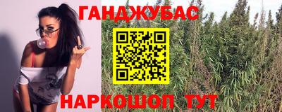 крисы Заводоуковск