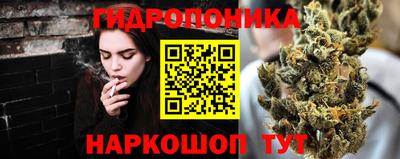 крисы Заводоуковск
