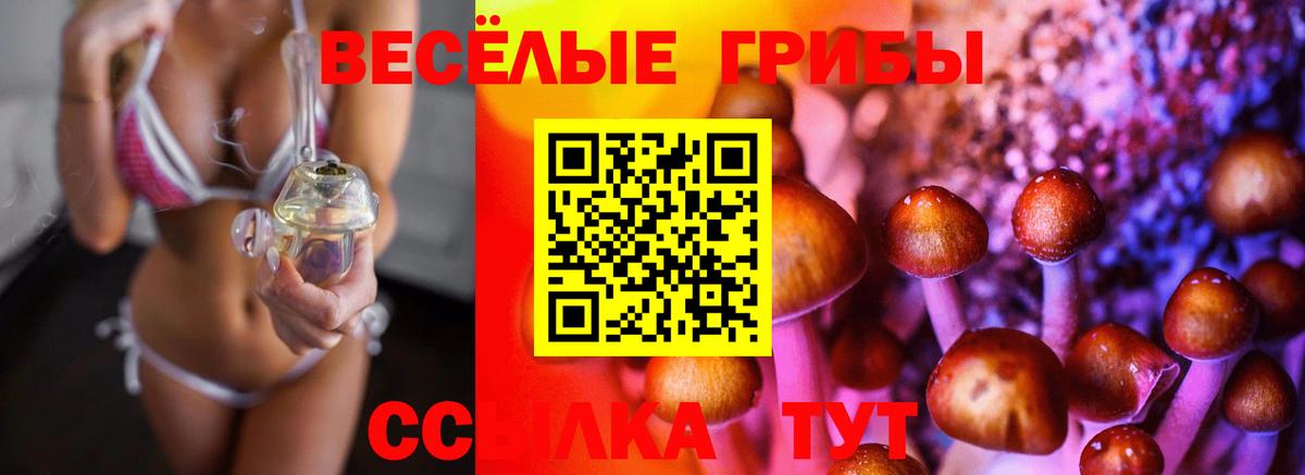 Псилоцибиновые грибы MAGIC MUSHROOMS Лыткарино