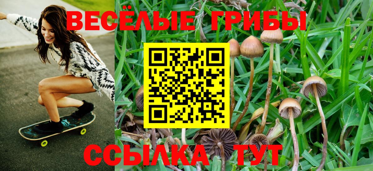 Лыткарино  Псилоцибиновые грибы ЛСД  Вход с VPN 